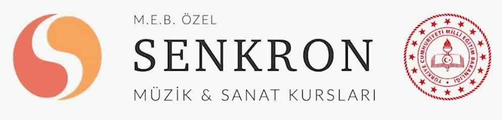 Ankara M.E.B. Özel Senkron Müzik Gitar - Piyano - Resim Bale Kursu